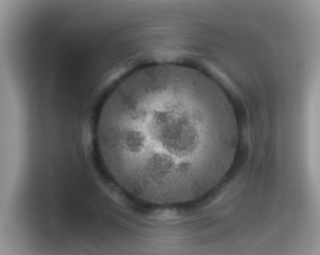 X0000116000687200911251100