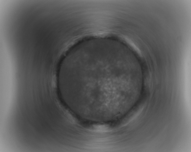 X0000116000689200911251100