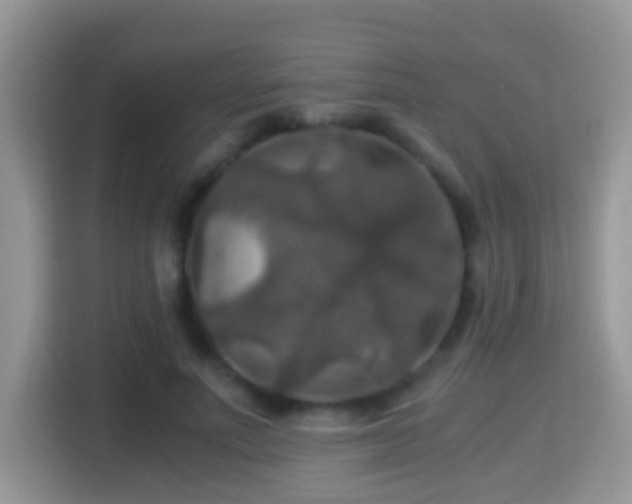 X0000116000691200911251100