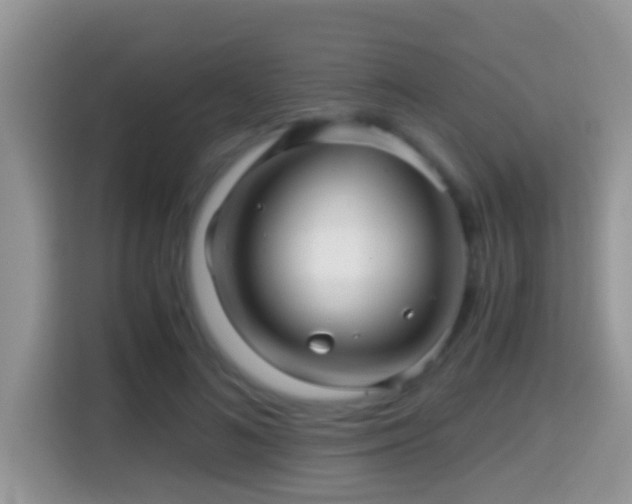 X0000116000692200911251100