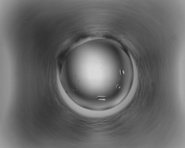 X0000116000693200911251100