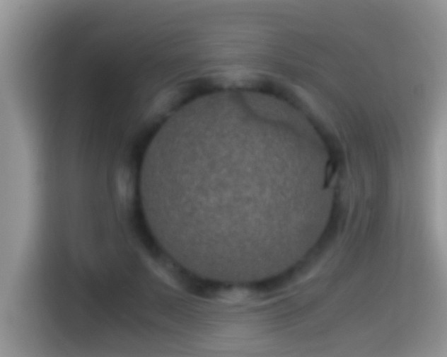 X0000116000695200911251100