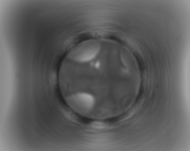 X0000116000699200911251100