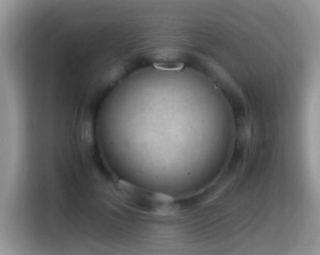 X0000116000700200911251100