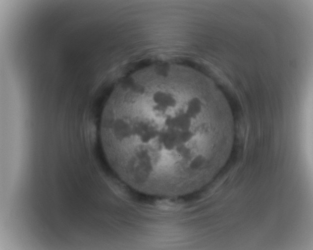 X0000116000703200911251100