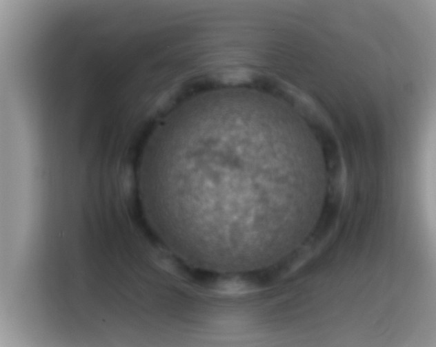 X0000116000704200911251100