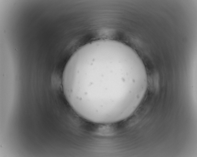 X0000116000705200911251100