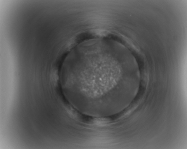 X0000116000707200911251100