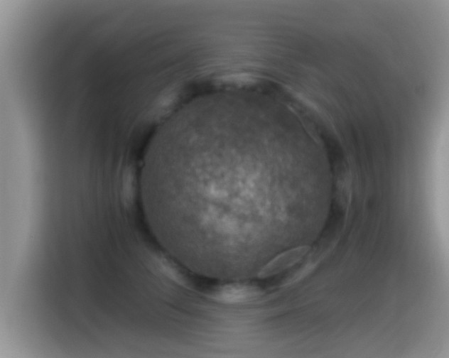 X0000116000708200911251100