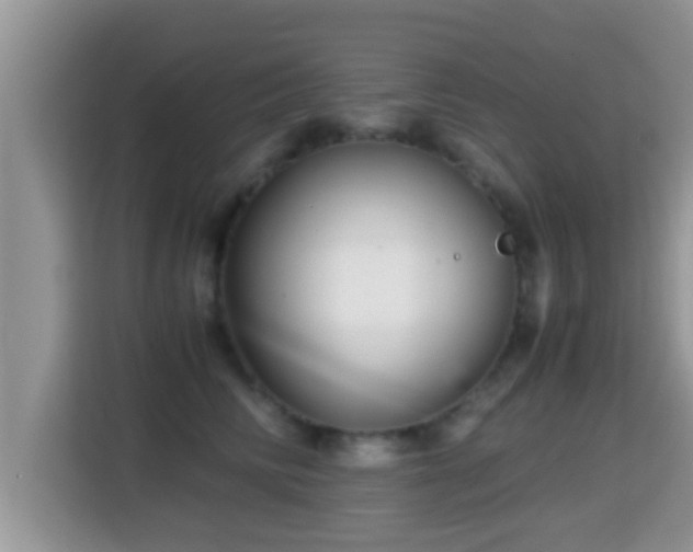 X0000116000710200911251100