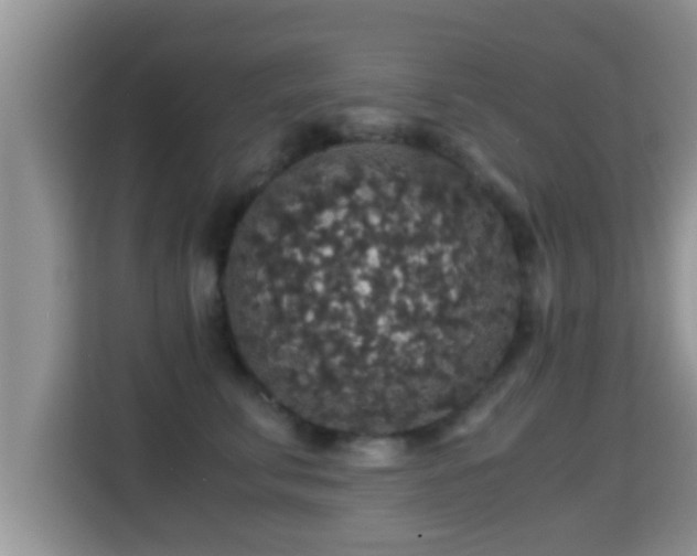 X0000116000711200911251100