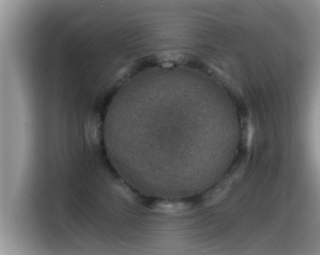 X0000116000712200911251100