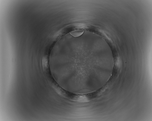 X0000116000715200911251100