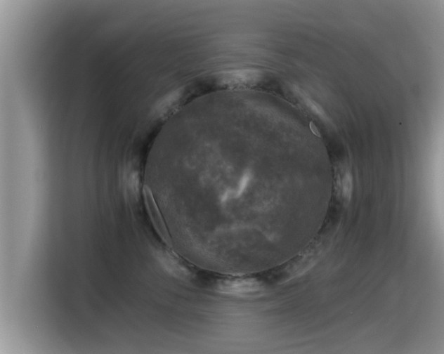 X0000116000716200911251100