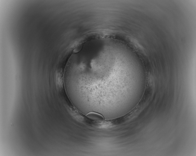 X0000116000719200911251100