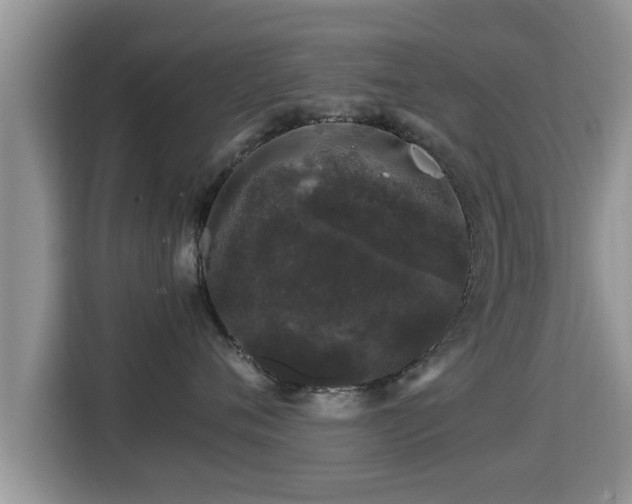 X0000116000720200911251100