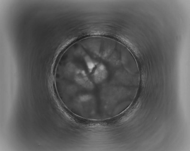 X0000116000721200911251059