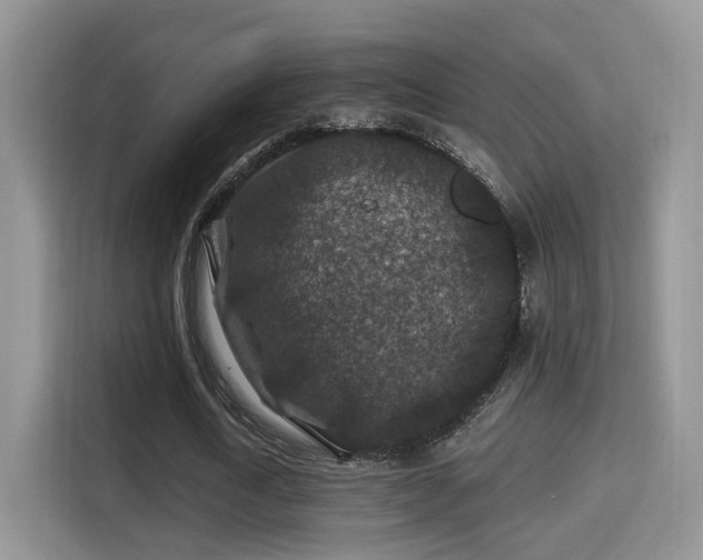 X0000116000722200911251059