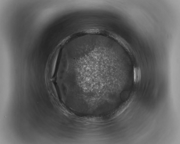 X0000116000723200911251059