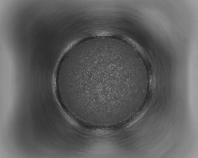 X0000116000725200911251059