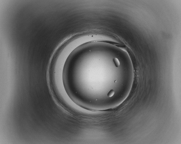 X0000116000726200911251059