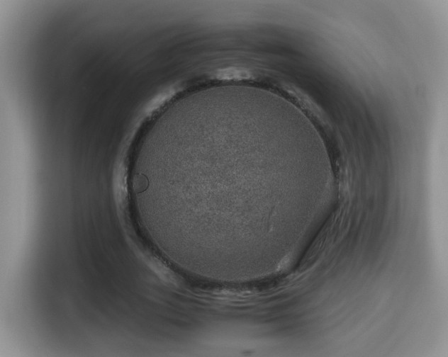 X0000116000727200911251059