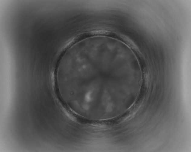 X0000116000729200911251059