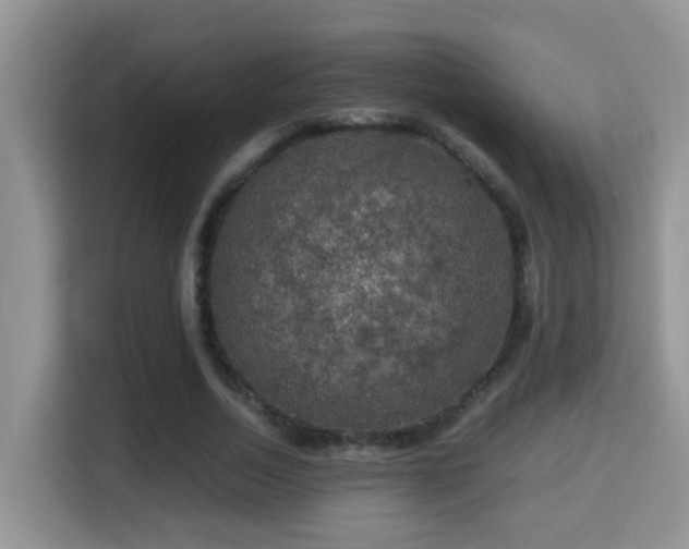 X0000116000730200911251059