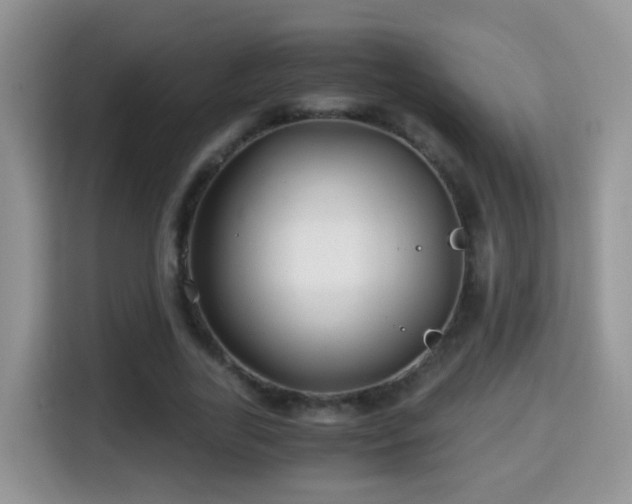 X0000116000731200911251059