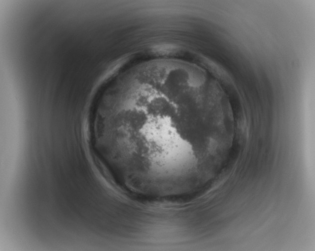 X0000116000734200911251059