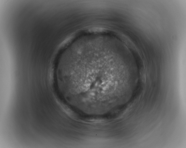 X0000116000735200911251059