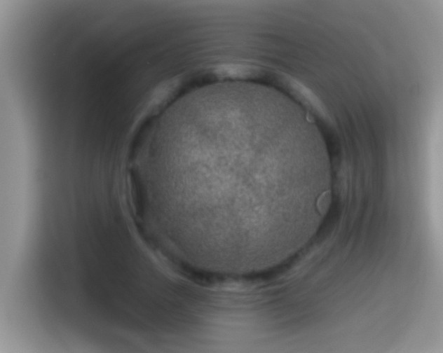 X0000116000738200911251059