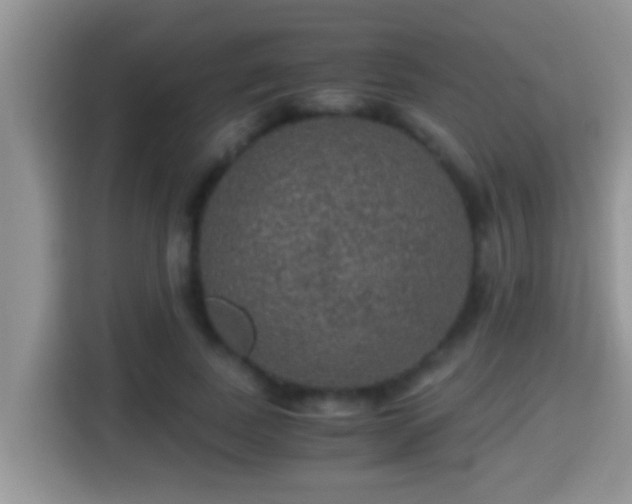 X0000116000739200911251059