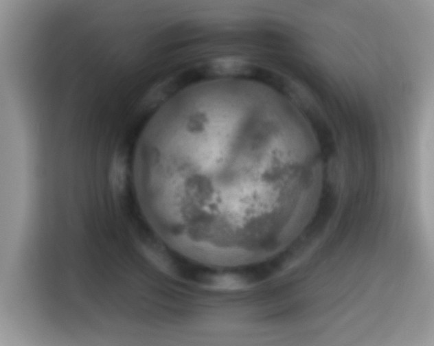 X0000116000741200911251059