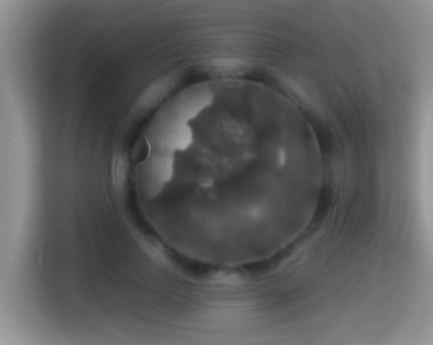 X0000116000742200911251100