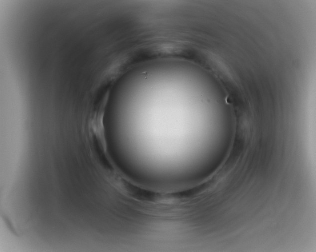 X0000116000746200911251100