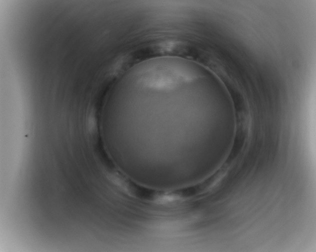 X0000116000754200911251100