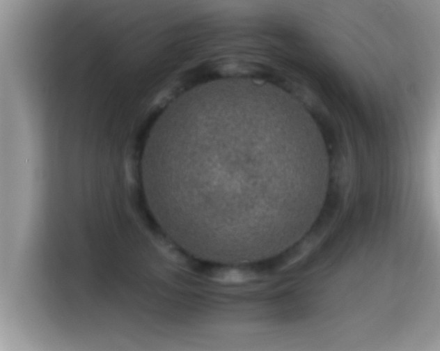 X0000116000755200911251100