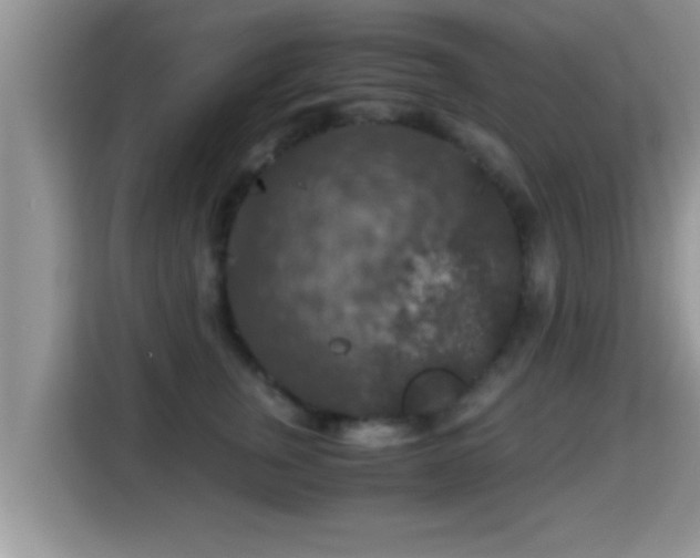 X0000116000759200911251100