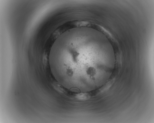 X0000116000761200911251100