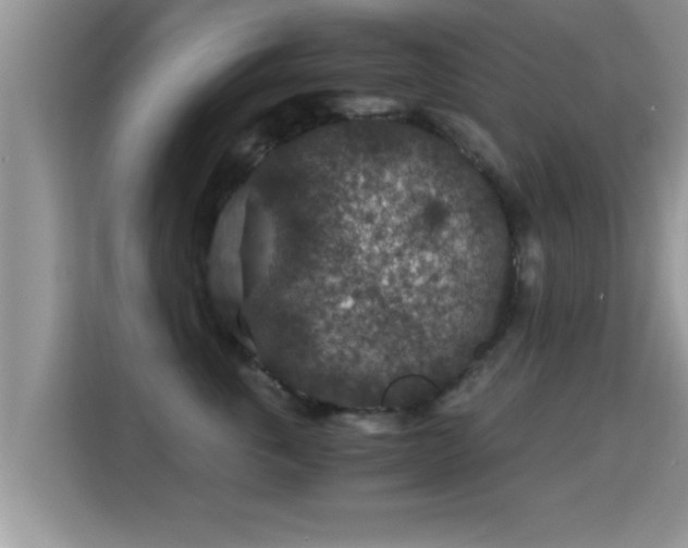 X0000116000763200911251100