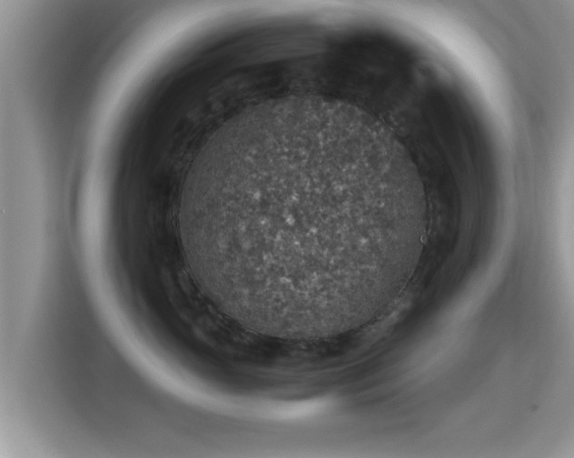 X0000116000765200911251100