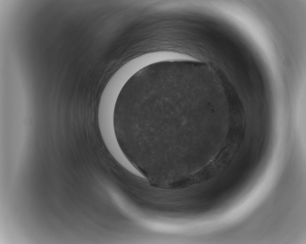 X0000116000766200911251100