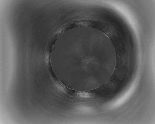 X0000116000767200911251100