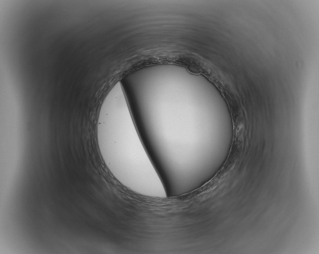 X0000116000772200911251059