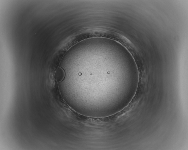 X0000116000774200911251059