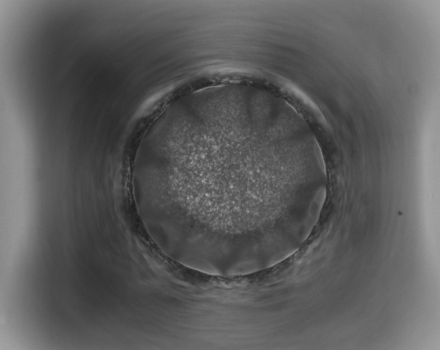 X0000116000775200911251059