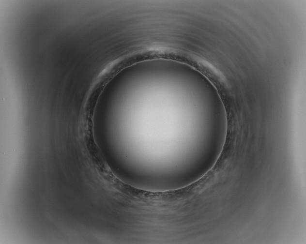 X0000116000776200911251059