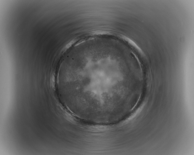 X0000116000777200911251059