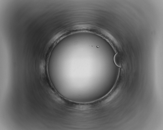 X0000116000778200911251059